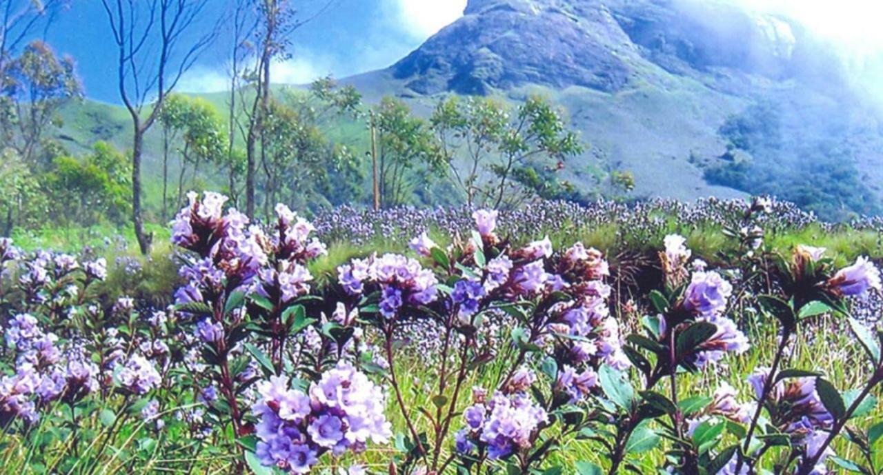 Seven Springs Resort Munnar Eksteriør bilde