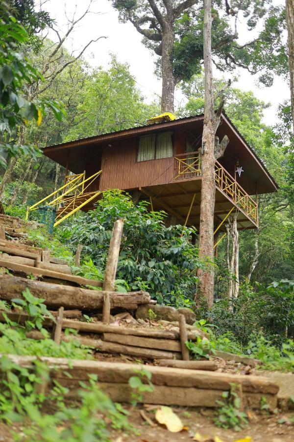 Seven Springs Resort Munnar Eksteriør bilde