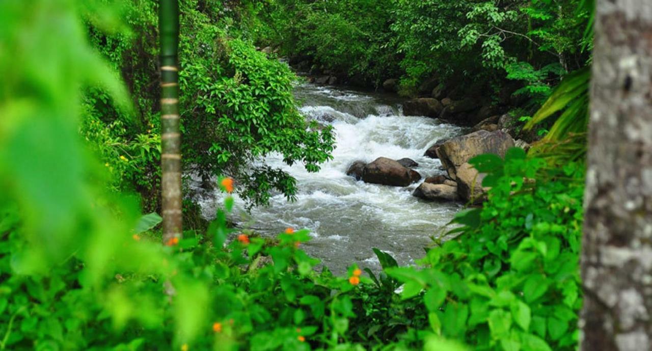 Seven Springs Resort Munnar Eksteriør bilde