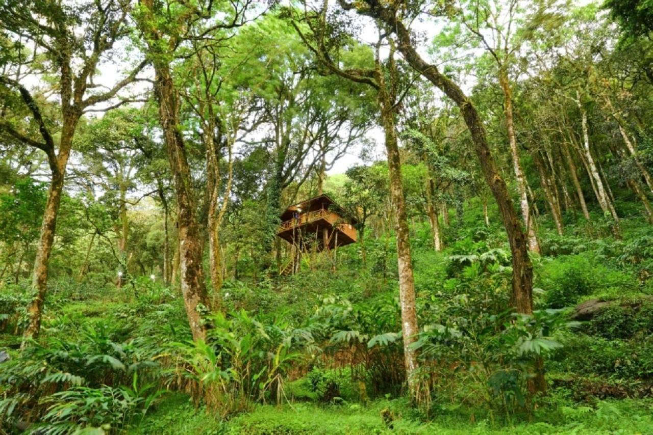 Seven Springs Resort Munnar Eksteriør bilde